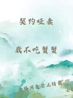 契约哑妻