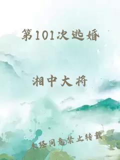 第101次逃婚