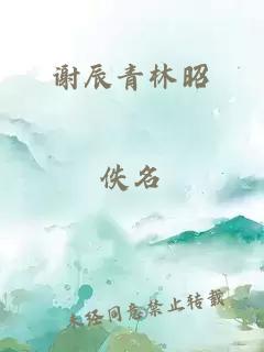 谢辰青林昭