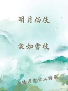 明月栖枝