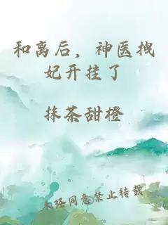 和离后，神医拽妃开挂了