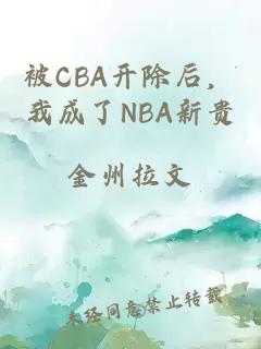 被CBA开除后，我成了NBA新贵