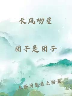 长风吻星