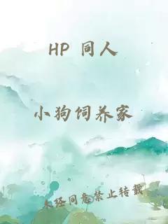 HP 同人