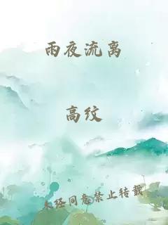 雨夜流离