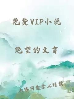 免费VIP小说