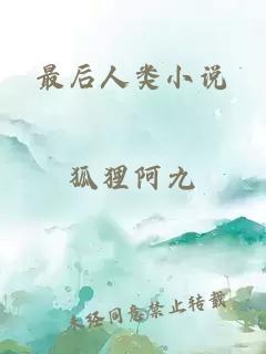 最后人类小说